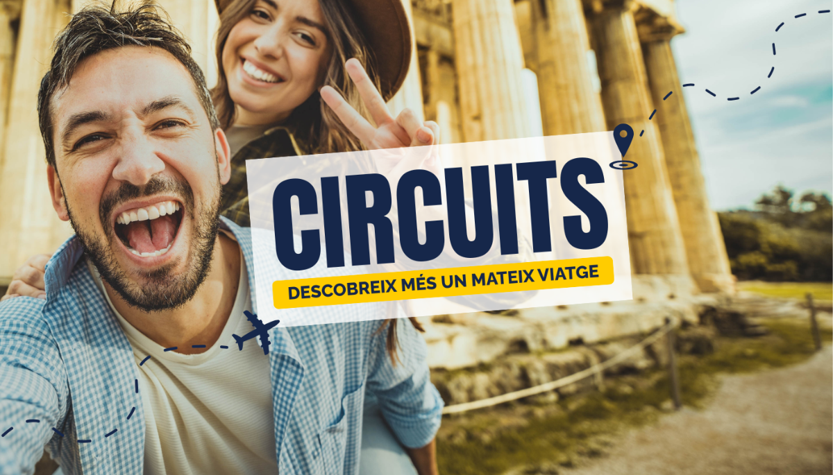 cabecera blog cat 11